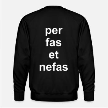 Preview: Sweater "per fas et nefas" Preview: Sweater "per fas et nefas"